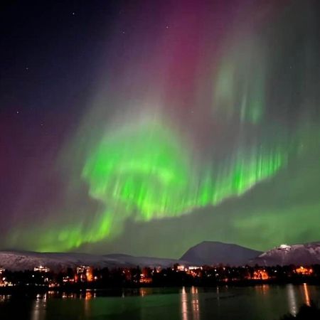 Polar Arctic View - Free Parking! Διαμέρισμα Τρόμσο Εξωτερικό φωτογραφία